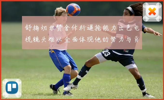 舒梅切尔赞舍什科逼抢能力出色电视镜头难以全面体现他的努力与贡献